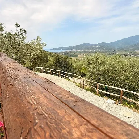 Il Vecchio Carrubo