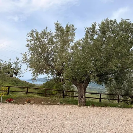 Il Vecchio Carrubo Castellammare di Velia