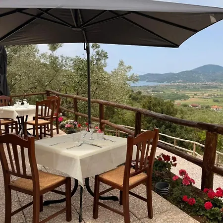 Il Vecchio Carrubo Castellammare di Velia